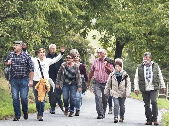 Pressebild zum Crumbacher Wandertag 2017