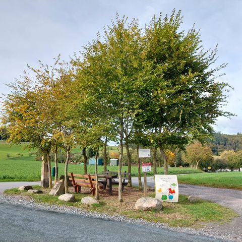 Baumgruppe Nonroder Höhe