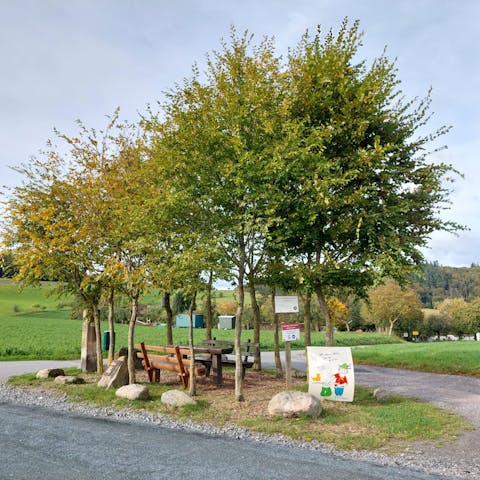 Baumgruppe Nonroder Höhe