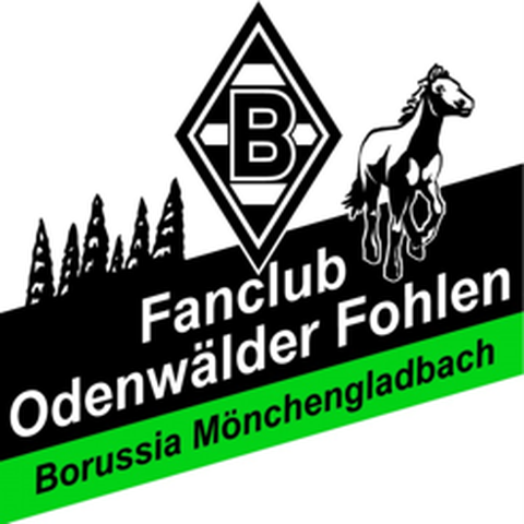 Logo Borussia Mönchengladbach Fanclub „Odenwälder Fohlen“