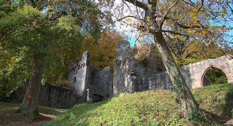 Blick auf die Ruine Rodenstein