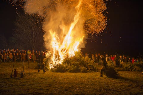 Baumfeuer