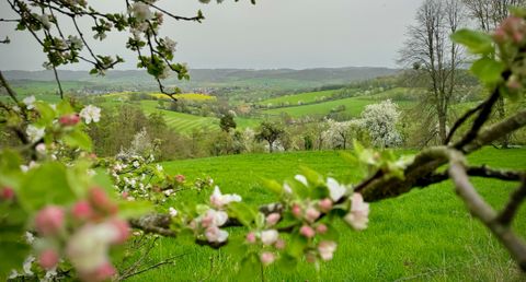 Blick auf Fränkisch-Crumbach