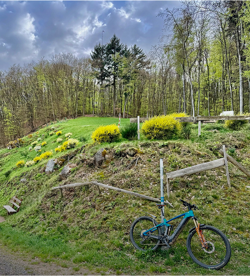 Ein Radfahren hat sein Rad im Wald abgestellt, um die idyllische Landschaft zu fotografieren