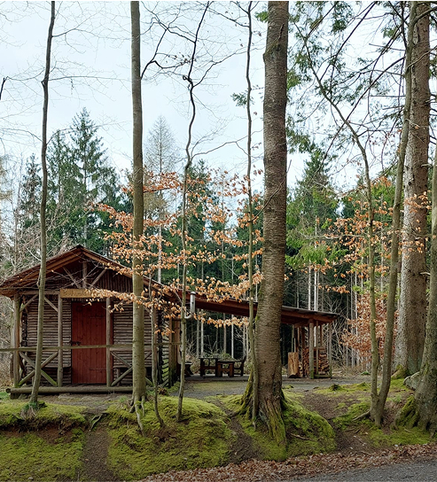 Eine Rasthütte im Wald lädt zum Verweilen und Ausruhen ein
