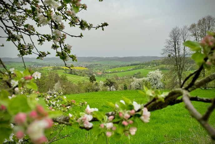 Blick über Fränkisch-Crumbach im Frühling