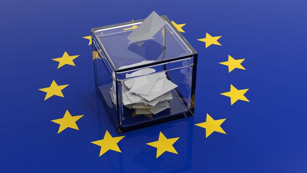 Europawahl 2024 Logo